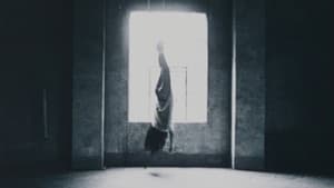 猫耳 — foto 2