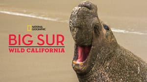 Big Sur: Wild California — foto 3