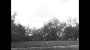 I Have Trouble Being Alone For Too Long — foto 2