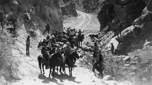 The Hurricane Horseman — foto 1