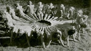 Blåjackor — foto 1