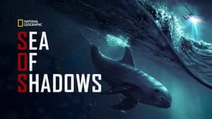 SOS: Mar de Sombras — foto 9