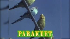 Episodio 14