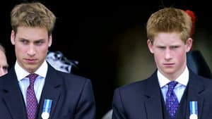 The Princes and the Press — foto 1