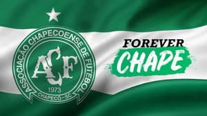 Para Sempre Chape — foto 2