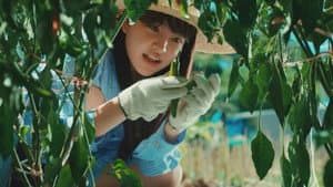 아주르 스프링 — foto 6