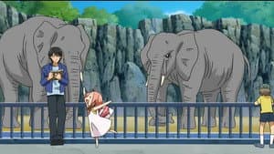 Atrapados en el zoológico.