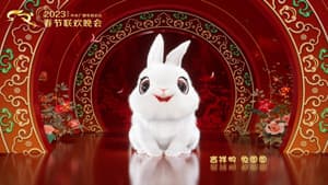 中央广播电视总台春节联欢晚会 — foto 2