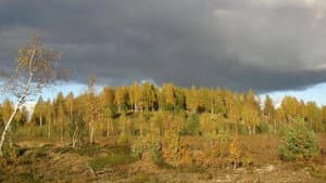 Sinimäed — foto 1