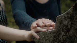 Regression — foto 1