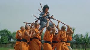 El espíritu del Kung Fu — foto 12