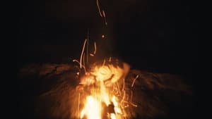 Mycélium — foto 2