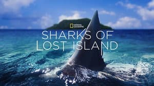 Sharks of Lost Island — foto 3