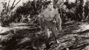 Tarzan: Silver Screen King of the Jungle — foto 1