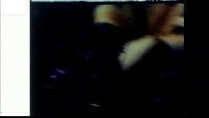Echoed Silence — foto 10