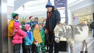 Nativity 3: Dude, Where's My Donkey?! — foto 1