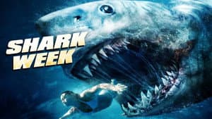 Shark Week — foto 3