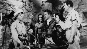 Jungle Manhunt — foto 1