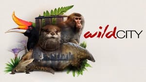 Wild City — foto 4