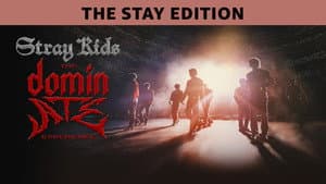 Stray Kids: The dominATE Experience — foto 5