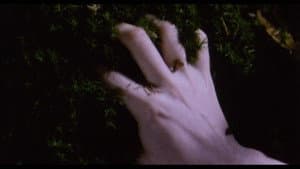 Belle de Nature — foto 9