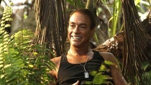 Bienvenidos a la jungla — foto 3
