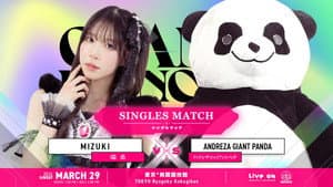 TJPW GRAND PRINCESS '26 — foto 11