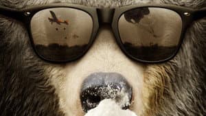Cocaine Bear: The True Story — foto 6