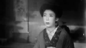 虞美人草 — foto 3
