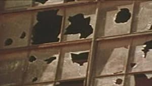 Destruction: Fun or Dumb? — foto 1