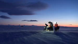 Musher, l'appel de l'Alaska — foto 2
