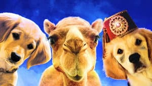 Buddies: Cazadores de Tesoros — foto 2