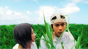 カナリア — foto 3