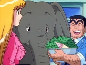 Episodio 14
