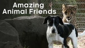 Amazing Animal Friends — foto 2