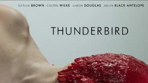 Thunderbird — foto 6