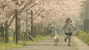 駅までの道をおしえて — foto 1