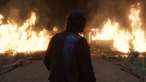 Episodio 11