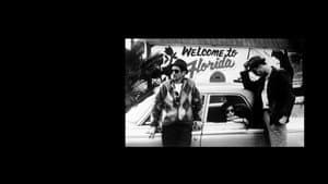 Stranger Than Paradise — foto 2