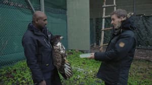 Episodio 1