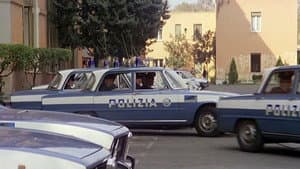 La via della droga — foto 2