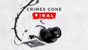 Crimes Gone Viral — foto 4