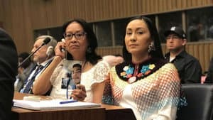 nîpawistamâsowin : We Will Stand Up — foto 1