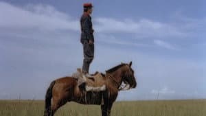 El camino del gaucho — foto 10