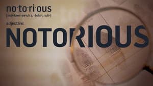 Notorious — foto 1