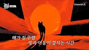 개와 늑대의 시간 — foto 1