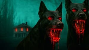 The Dogs — foto 6