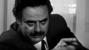 أطفال نوفمبر — foto 5