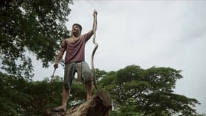 Episodio 13