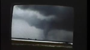 Weather Diary 1 — foto 2